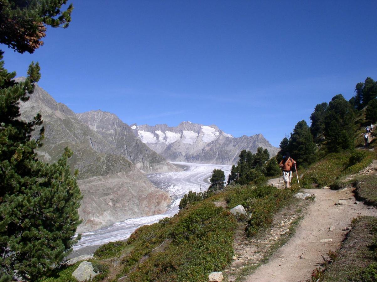 Mischabelblick Appartement Fiesch Buitenkant foto